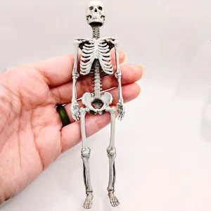 Miniature Human Skeleton, 1:12 scale - Picture 1 of 5