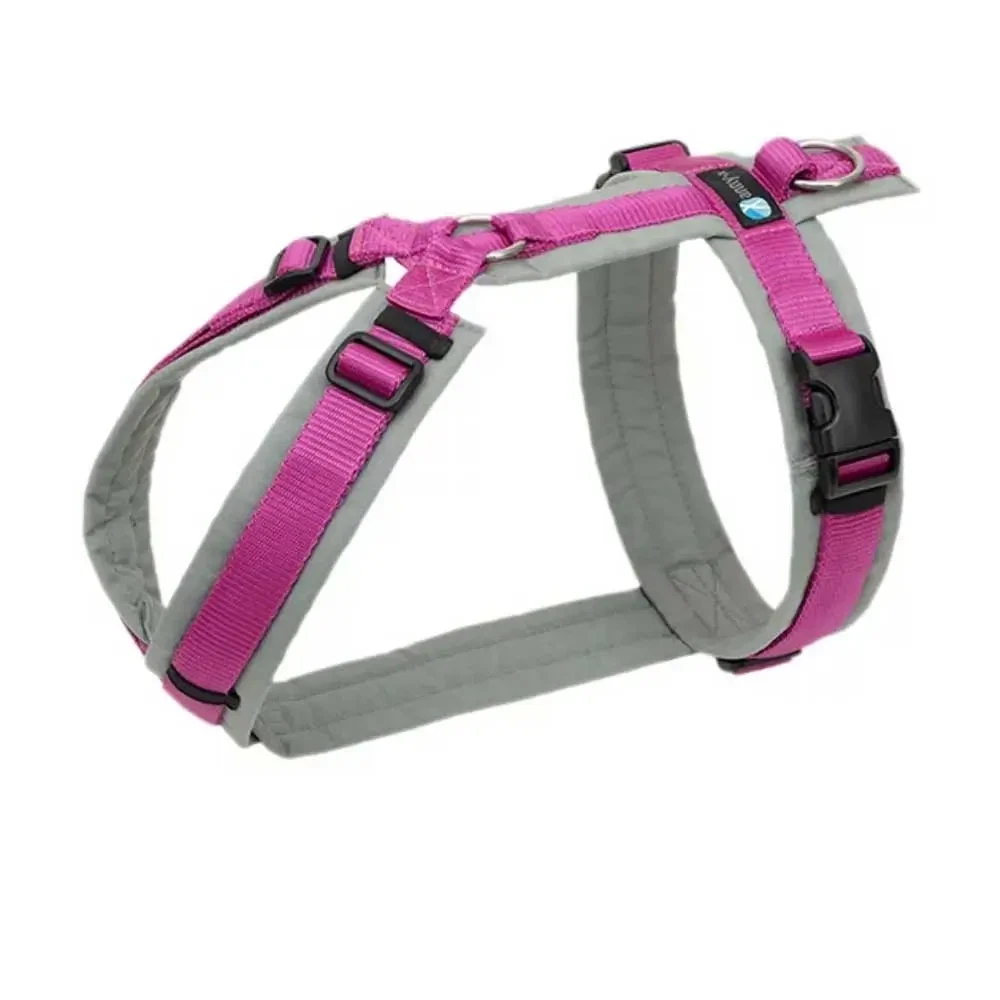Comfort X Hundegeschirr Mit Doppelverschluss – Größe XL, Farbe Violett
