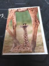 Giraffe blank card