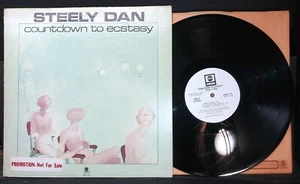 HTF classic rock LP STEELY DAN Countdown to Ecstasy WHITE-LABEL PROMO insert E/V - Picture 1 of 5