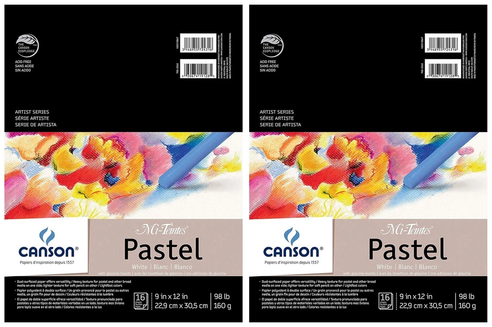 ALMOHADILLA PASTEL MI-TEINTES 9X12 PULGADAS BLANCO CANSON ARTIST 16 HOJAS ALAMBRE Foto 1 de 1