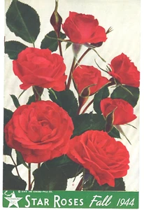 Catálogo Flores Rosas Estrella Otoño 1944 Segunda Guerra Mundial - Imagen 1 de 2