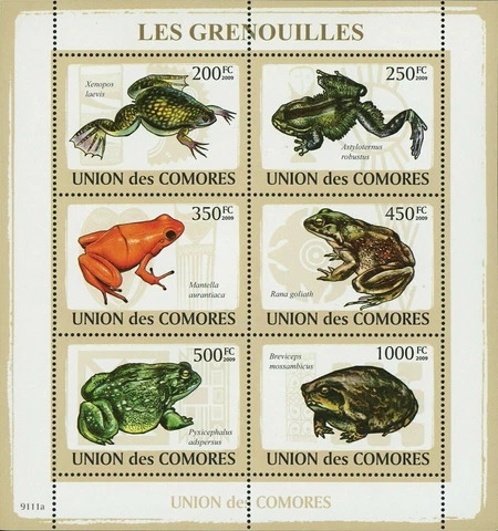 Frogs Stamp Xenopus Laevis Mantella Aurantiaca Pyxicephalus S/S MNH #2163-2168 Cover