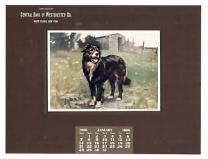 CALENDARIO DE MUESTRA DEL BANCO CENTRAL WHITE PLAINS NUEVA YORK 1906 PERRO CENTINELA POR DELFÍN - Imagen 1 de 1