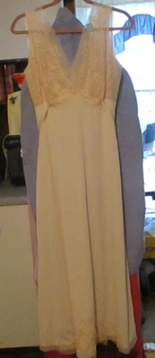 Camisón Coral Mist de Van Raalte Maxi Largo Encaje Superpuesto Busto Pecho 34 Nuevo con Etiquetas De Colección. Foto 1 de 4