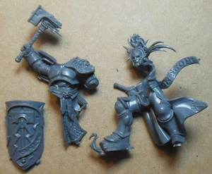 Stormcast Eternals - Liberator Prime con Warhammer y Shield (a) 2014 Age of Sigmar - Imagen 1 de 1