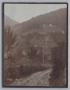 Rigi Vierwaldstättersee Schweiz 1906 - Schotterweg - Foto 1900er - Picture 1 of 2