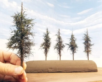 BACKGROUND Model Fir Trees, 6 Inches Tall, FIVE, REAL Wood Construction, LOW$SHP - Image 1 of 4