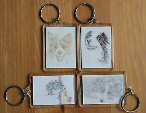 Border Collie Magnets (2 sizes), Keyrings or sets. All with different drawings - Foto 1 di 13