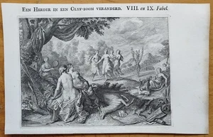Schäfer zu Olivenbaum - Kupferstich Ovid Mythologie Metamorphosen - 1730 - Foto 1 di 2