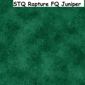 Rapture Blenders BTY cotton Quilt fabric Quilting Treasures FQ Juniper Green - Picture 1 of 12