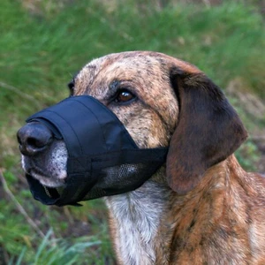Museruola per Cani Regolabile Nera Taglie Assortite Rete/Poliestere S, S_M, L & L-XL - Foto 1 di 3