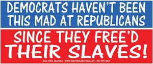 PEGATINA DE VENTANA POLÍTICA DEMOCRATS HAVEN'T BEEN THIS MAD AT REPUBLICANS 9"" X 4 - Imagen 1 de 1