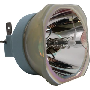 Philips MSD Platinum 21R Lamp for the Elation Proteus Hybrid V21BS IP - Picture 1 of 9