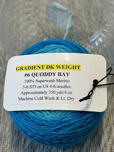 Done Roving Yarns Gradient DK Color#6 Quoddy Bay100% Merino 350yd/4oz - Picture 1 of 6