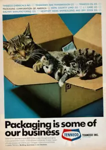 1969 Vintage Print Ad Tenneco Packaging is some our business Cat Kittens Litter - Picture 1 of 2