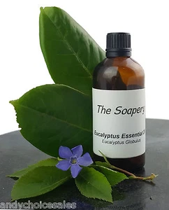 100ml Eukalyptus ätherisches Öl - 100% rein und natürlich - Bild 1 von 2