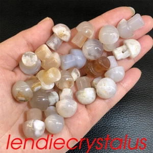 20pcs Natural Cherry blossom agate Mushroom Quartz Crystal Mineral 1" Gem Reiki - Imagen 1 de 12