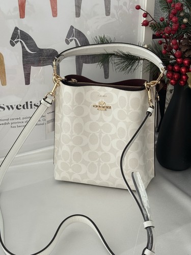 Borsa a secchiello Coach Mollie 22 nuova con etichetta in tela firmata CA582