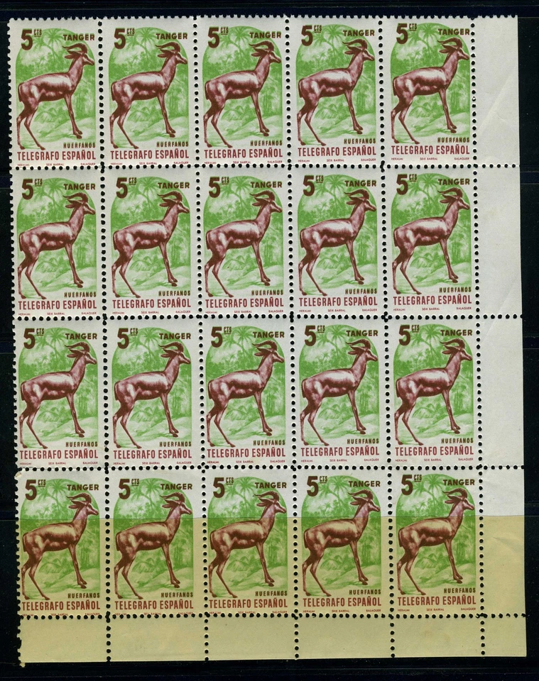SPANISH MOROCCO TANGER MNH**.  GAZELLE - Image 1 of 1