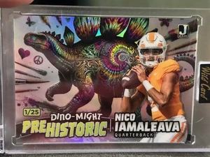 WILD CARD 2024 - DINO MIGHT - Nico Iameleava - 1/25 - Imagen 1 de 3
