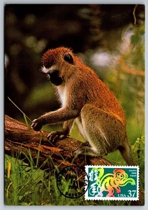 3832 Chinese Lunar New Year, Year of the Monkey FDC Maxi Card - Picture 1 of 2