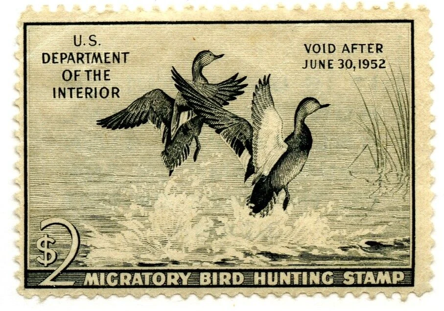 🍁#RW18 $2.00 Migratory Bird Hunting, faults  Cat $95 stamp - Image 1 of 1