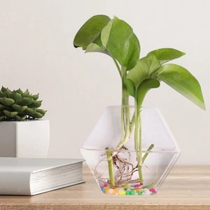 Wall Planter Hanging Hexagon Garden Decor Flower Vase for Apartment Women Living - Picture 1 of 5