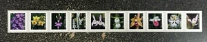 2020USA #5435-5444 Forever Wild Orchids - Plate Number PNC Coil Strip of 10 Mint - Picture 1 of 2