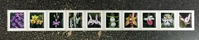 2020USA #5435-5444 Forever Wild Orchids - Plate Number PNC Coil Strip of 10 Mint - Image 1 of 2