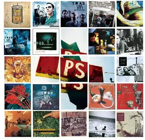 Toad the Wet Sprocket - P.S. (A Toad Retrospective) - Bild 1 von 1