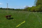 Photo 6x4 The newly planted Bower Wood Agar Nook Bower Wood was planted i c2013