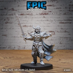 Black Guard Knight B | Epic Miniatures | RPG D&D Wargaming miniatura impresa en 3D - Imagen 1 de 2