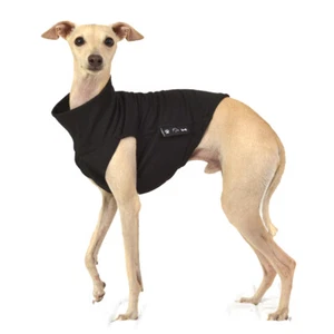 Greyhound Cotton Jacket - Whippet Jumper - Galgo, Italian Greyhound, Saluki - Picture 1 of 2