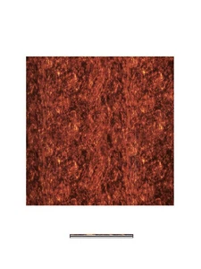 Pickguard Rohmaterial ML-Factory® 4-lagig 30 x 29 cm Tortoise Medium - Bild 1 von 1