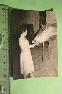 gran foto antigua - mujer alimentando caballo - Imagen 1 de 1
