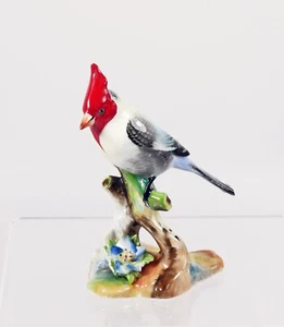 Stunning & Bright Royal Adderley Doulton Red Crested Cardinal Bone China Figure - Foto 1 di 4