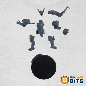 Norsca Rampagers Valkyrie - Norse Blood Bowl Team - Bild 1 von 1