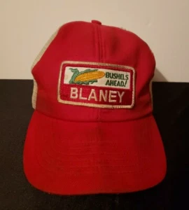 Vtg Blaney Seed Swingster Snapback Mesh Cap Hat - Picture 1 of 9