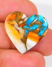 Natural Spiny Oyster Turquoise Heart Cabochon Gemstone 30X24x3mm 17.Ct  Bx=26