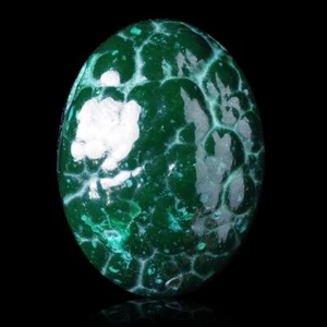 ★☆ MALACHITE 49,90 CT de R.D. du Congo - 25,1 mm - GEM-BC1280 ☆★ - Picture 1 of 1