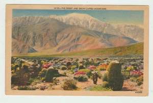 Tucson Arizona Desert and Snow Capped Mountains 1940s Vintage Postcard P20 - Imagen 1 de 2