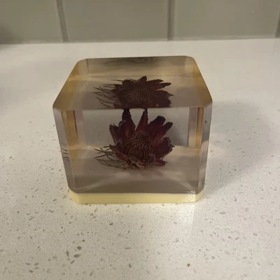 Pisapapeles Protea In Lucite de colección hecho en Sudáfrica Foto 1 de 4