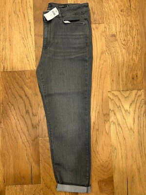 J. Jill Boyfriend Jeans Pants Womens 14 Galaxy Wash Relaxed Fit Stretch Gray NWT - Image 1 of 4