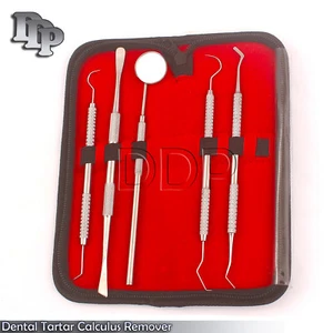 Dental Tartar Calculus Remover Scratch Dentist Scaler Tooth Scraper Kit,PR-0099 - Picture 1 of 3