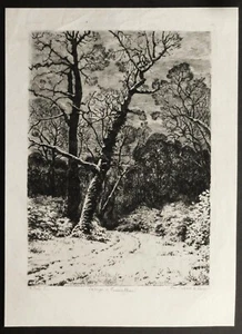 Alfred Taiée’s engraving. Fontainebleau. - Picture 1 of 1
