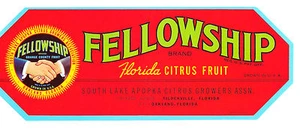 2 Fellowship Brand Fruit Label Tildenville Florida Citrus unbenutzt NOS Neu 50er - Bild 1 von 1