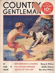 1934 Land Gentleman September Abdeckung - Hund Doesn'T Want To Go IN Die Wasser - Picture 1 of 1