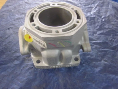 Arctic Cat 3003-748 Cylinder Re-Plated for ZL 440 Prowler Jag L/C Cougar Pantera Foto 1 de 4