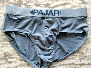 Pajar Performance Micro Men's Hip Brief Underwear Medium MINT FREE SHIPPING! - Picture 1 of 1